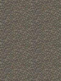 Fabric by the yard - Wonderland 15605 Truffle